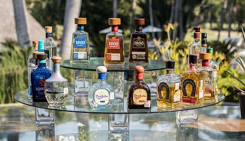 https://vallarta.grandvelas.com/tequila-tasting